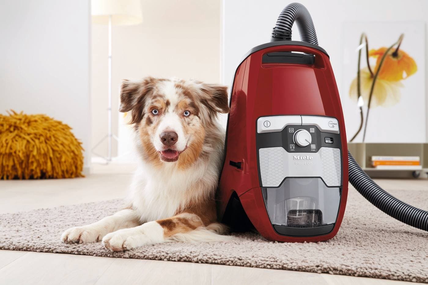 Staubsauger bei EP: Electronic Partner